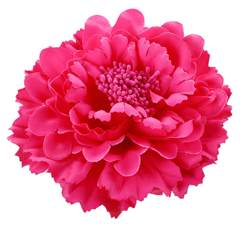 Geek-M Hair Flower Clips Brooch Boutique Hair Accessories Bohemia Hairpins for Women Girls (Rose) - Image 1